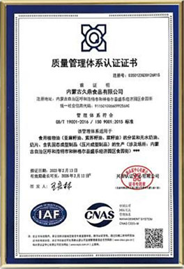 ISO9001國際質(zhì)量管理體系認(rèn)證